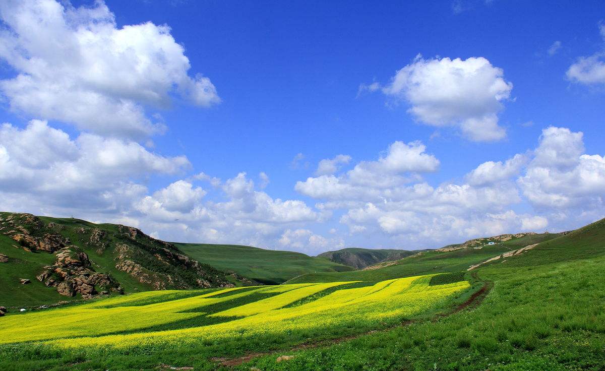 黃花溝景區(qū)團(tuán)建活動心得體會