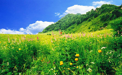 北京團建《百花山拓展訓(xùn)練》